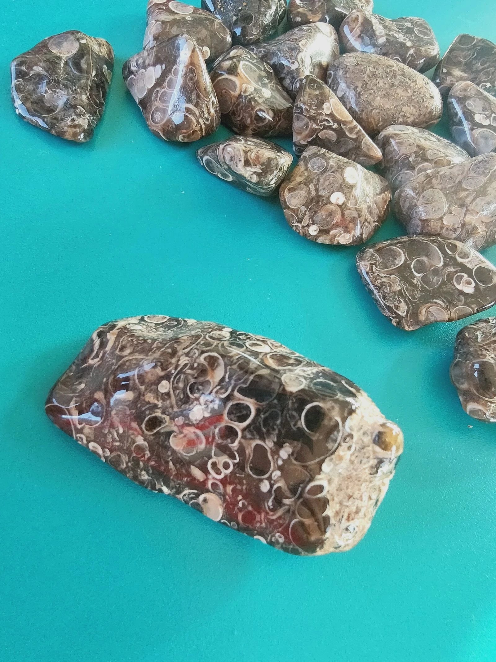 Une très belle agate turitelle